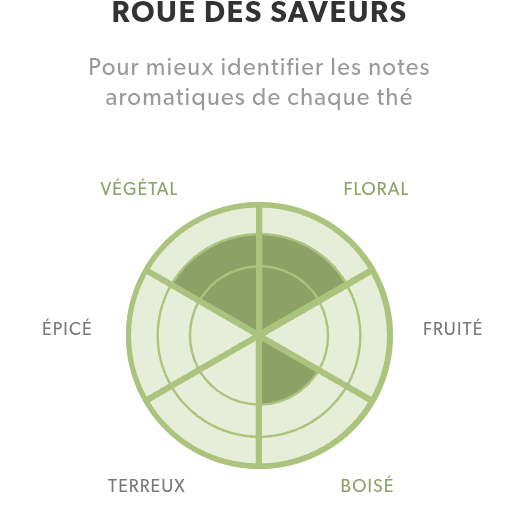 La Provençale (tisane menthe et romarin)