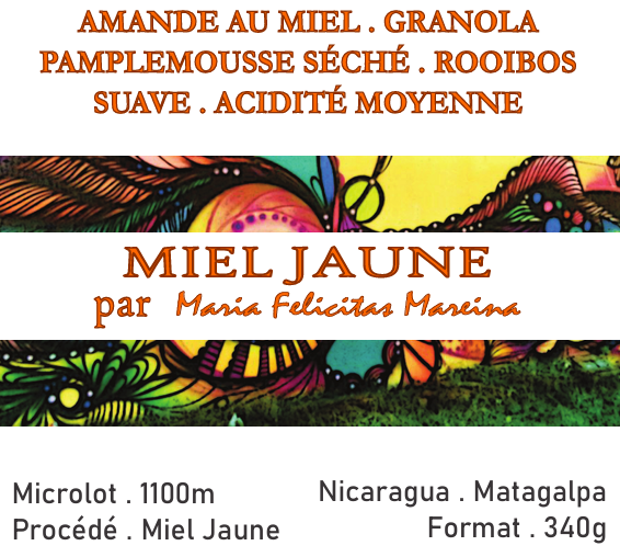 Nicaragua - Miel Jaune par Maria Felicitas Mareina