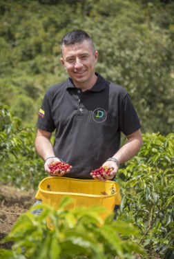 Colombie - Paradis Fruité par les frères Bermudez