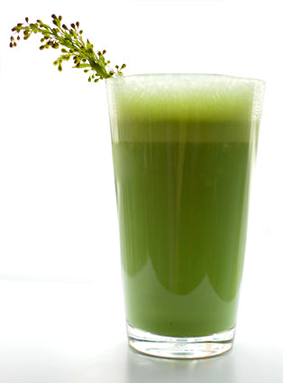 Camellia Sinensis - Matcha Sora