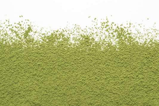 Camellia Sinensis - Matcha Sora