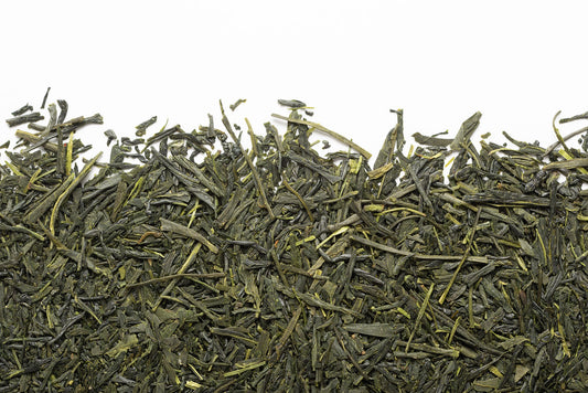 Camellia Sinensis - Sencha Nagashima