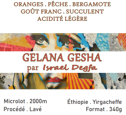 Éthiopie - Gelana Gesha par Israël Degfa