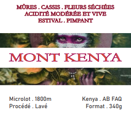 Kenya - Mont Kenya