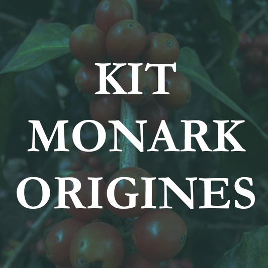 Origins Kit - 4 coffees x 170g (delivery included)
